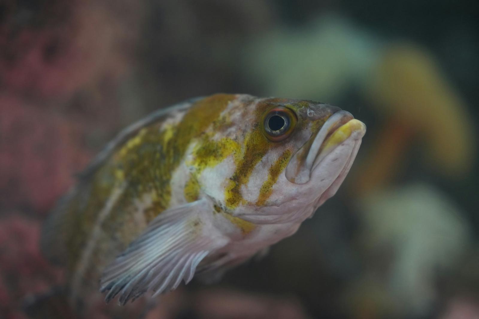 3-1：サプライチェーンの透明性向上