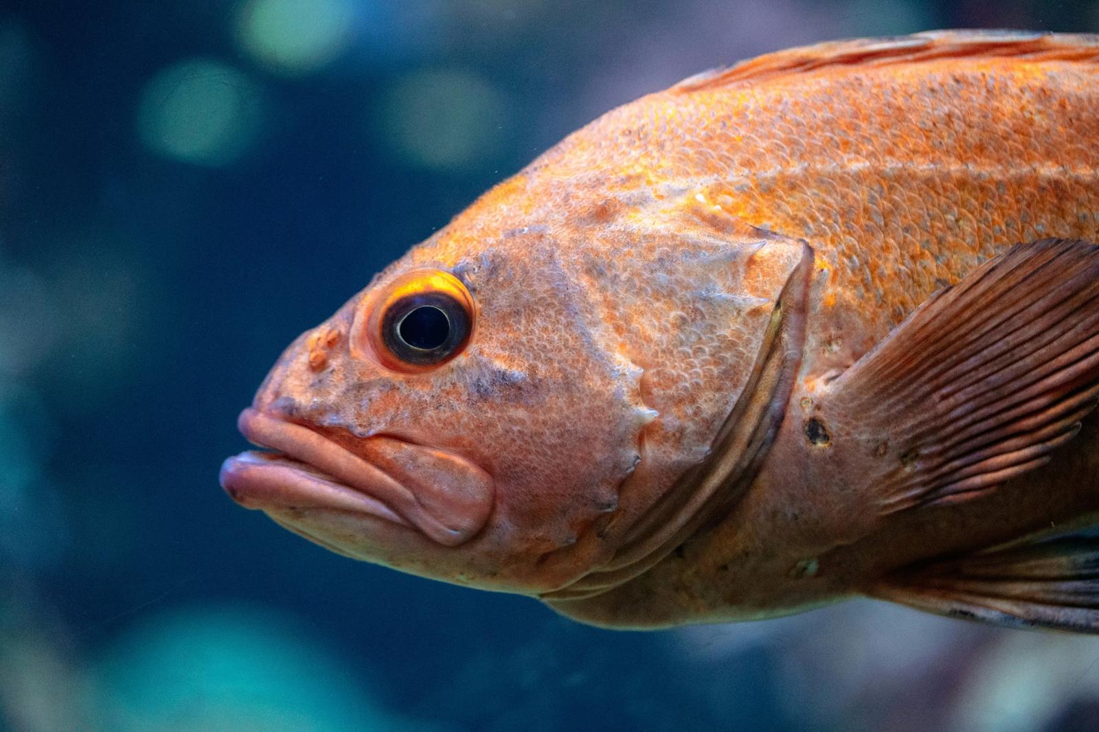 1-3：企業がGHGプロトコルに取り組むメリット