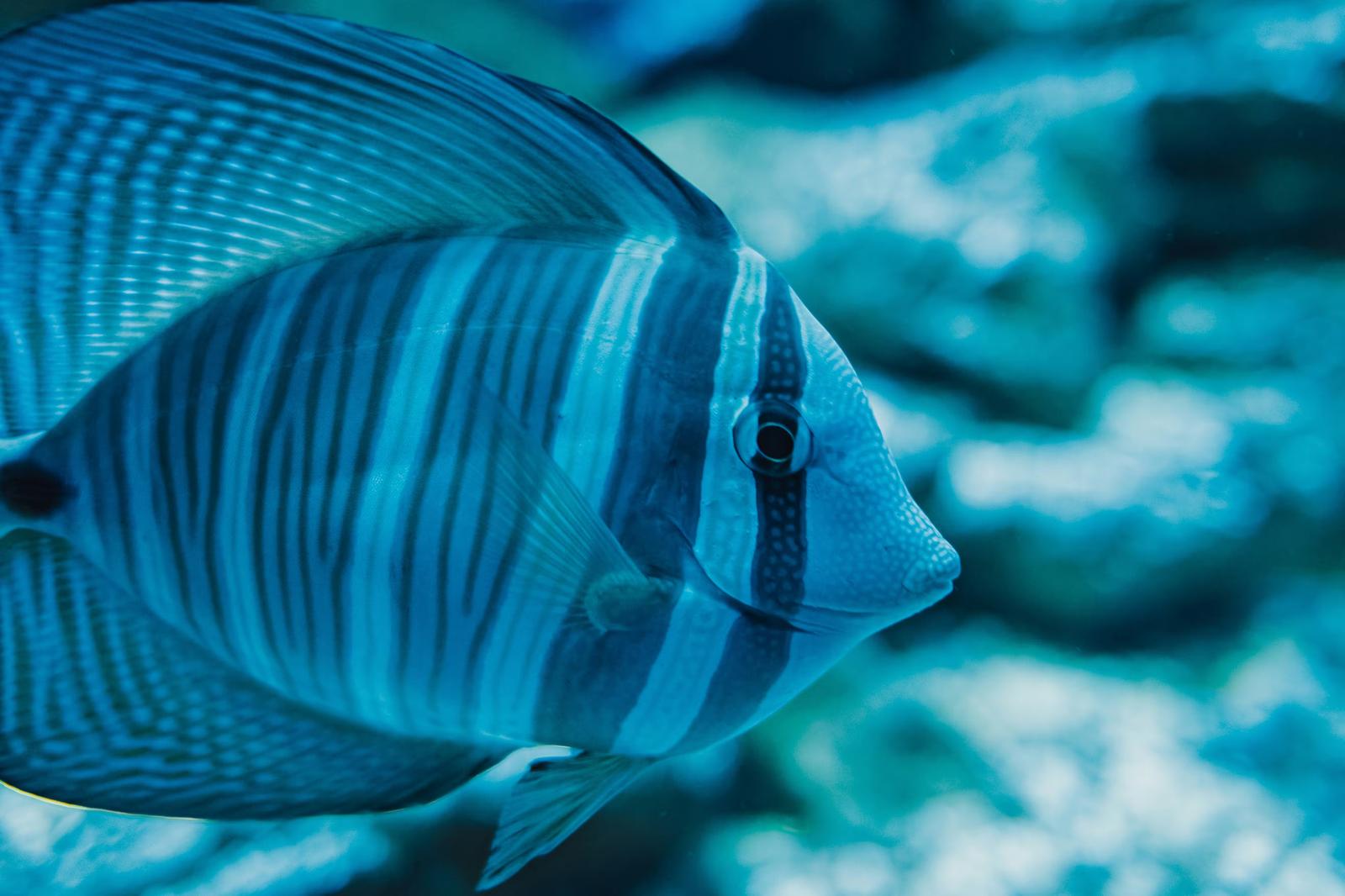 4-2：基準改訂が企業の算定実務に与える影響