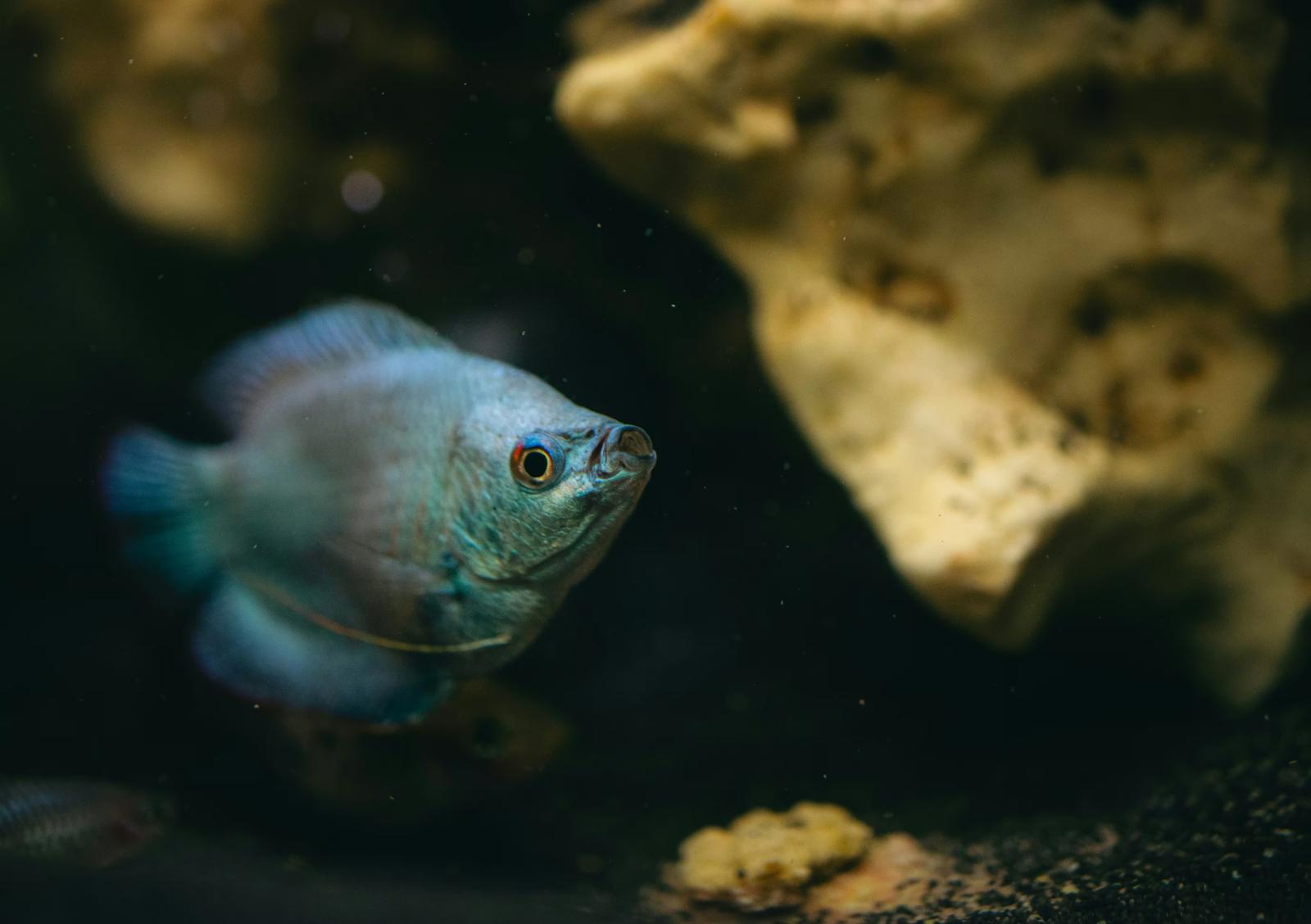 4-2. 社内体制の整備と情報連携：部門横断の取り組みがカギ