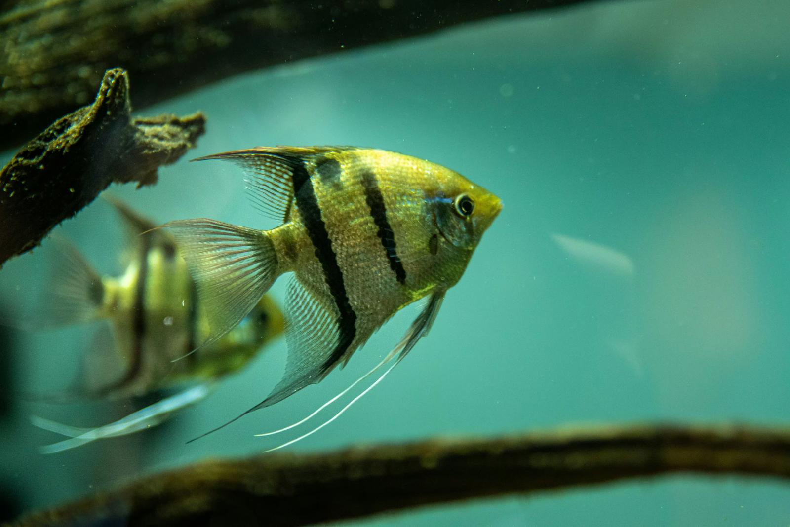 5-3. GX-ETSが企業価値に与える影響：炭素が財務に与える意味