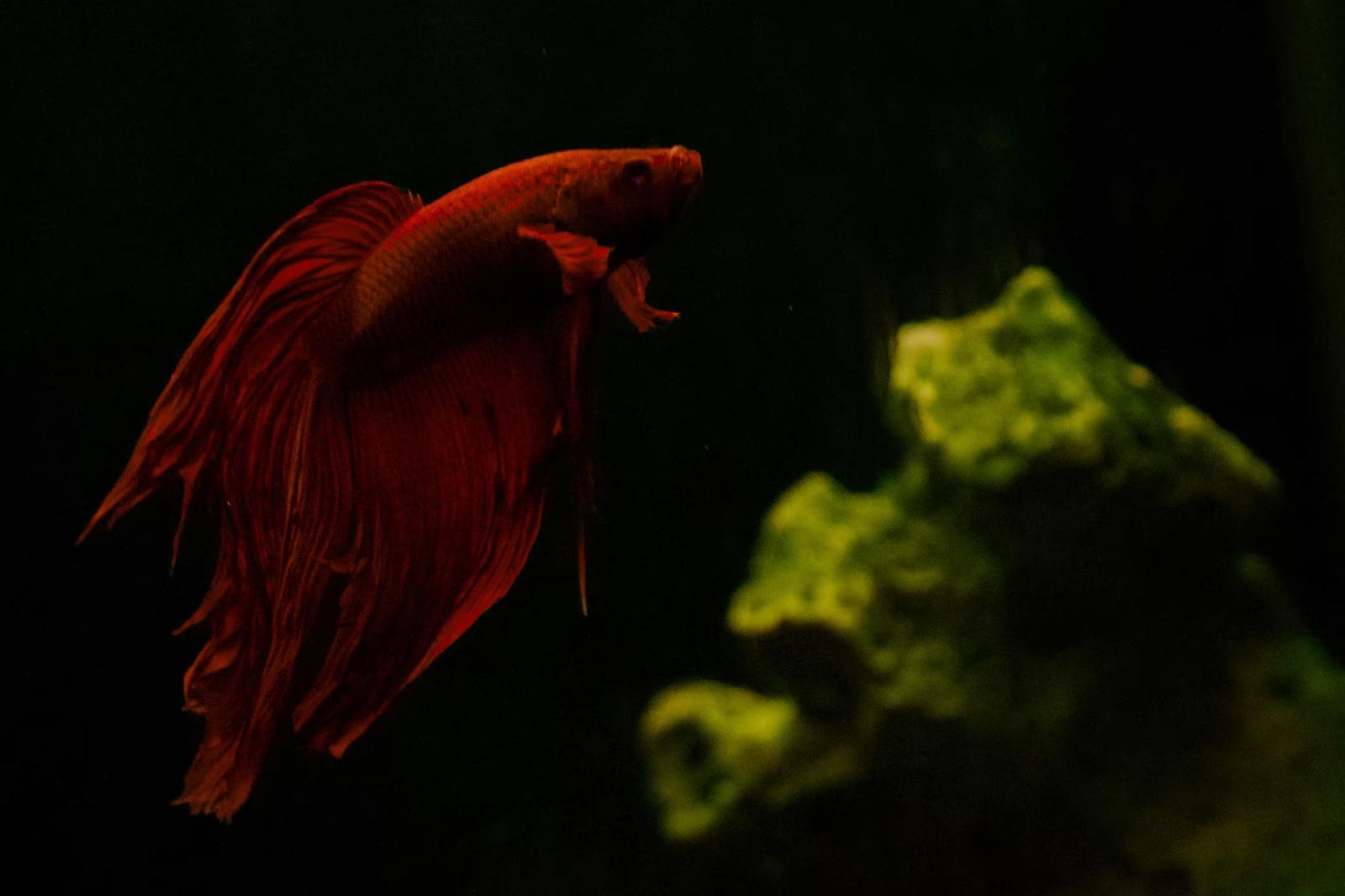 LCA活用のメリット - コスト削減・リスク管理