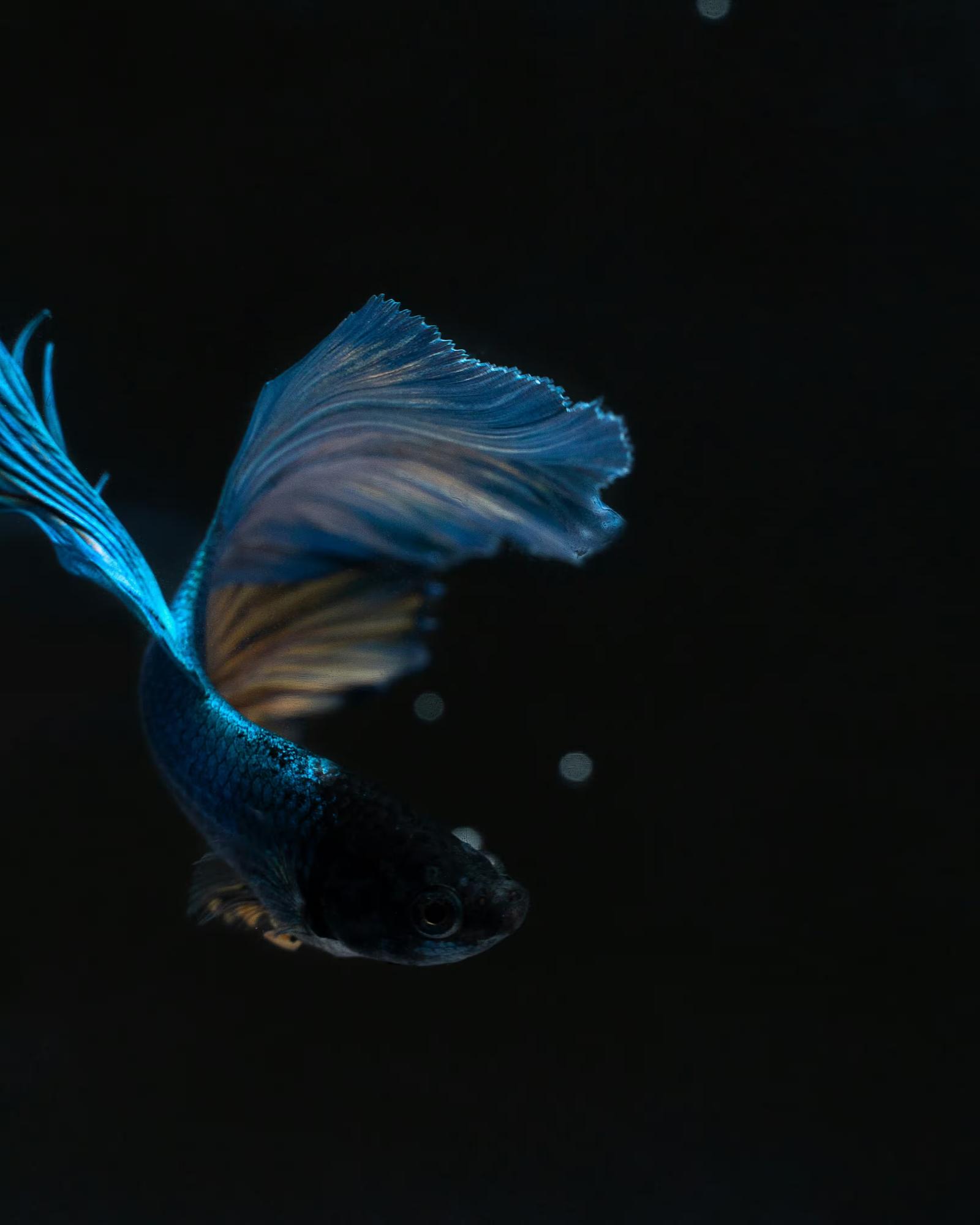 国際標準 ISO 14040/14044 の概要