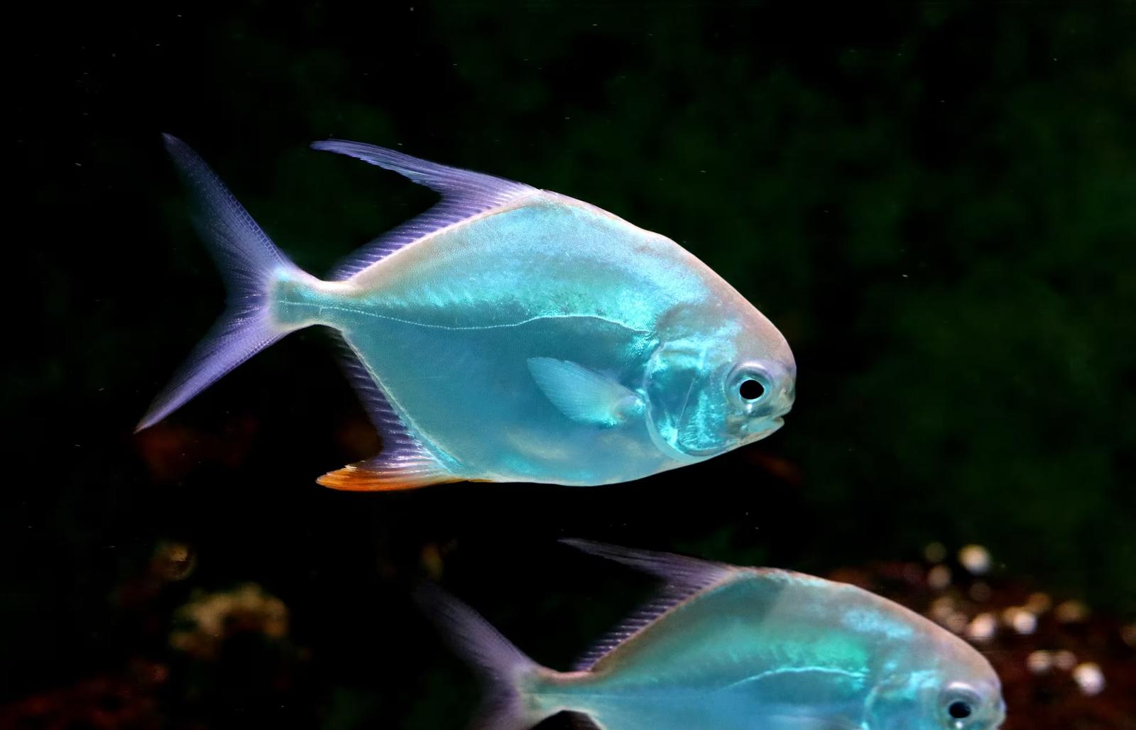 4-1. インパクト評価(LCIA) - 結果の解釈