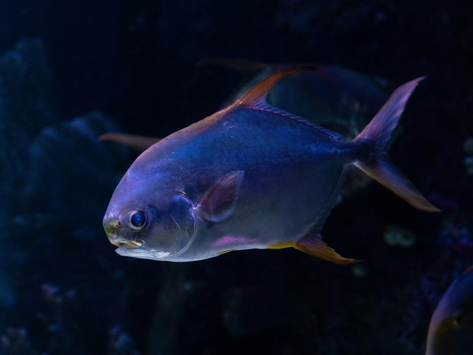 4-2. サプライチェーンマネジメントでの活用