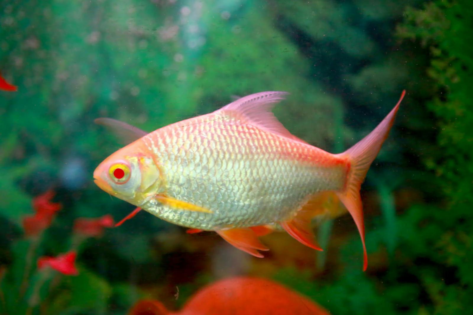 省エネ法：企業担当者が知るべきエネルギー使用の合理化と非化石エネルギー転換の義務