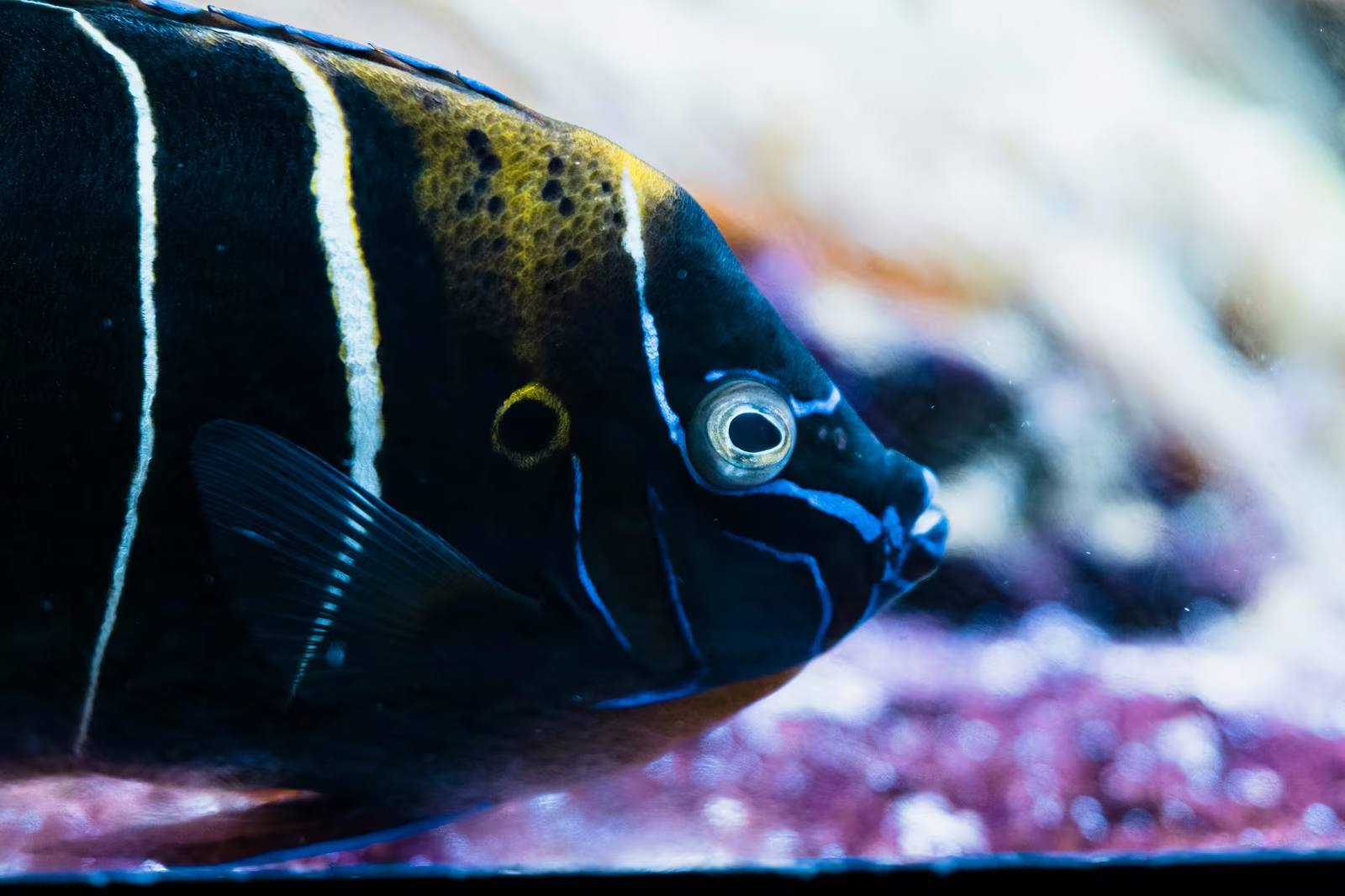 グリーン購入法とは？事業者が知るべき概要と義務